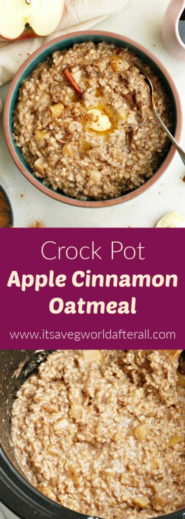 apple cinnamon oatmeal in a bowl and slow cooker separated by text box