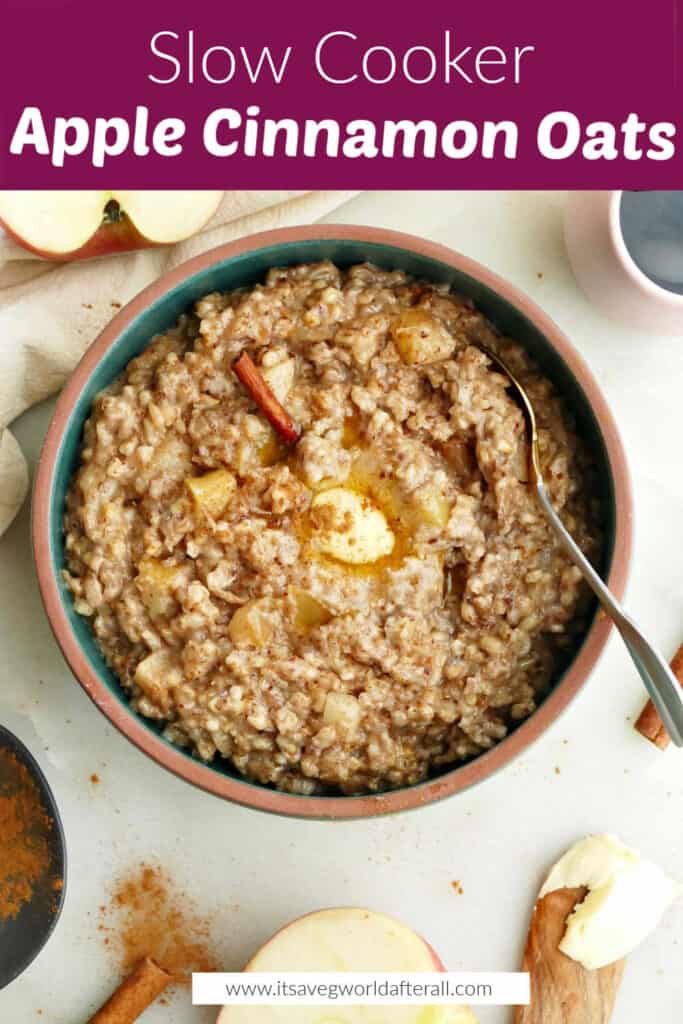 apple cinnamon oatmeal in a bowl with a spoon under a text box