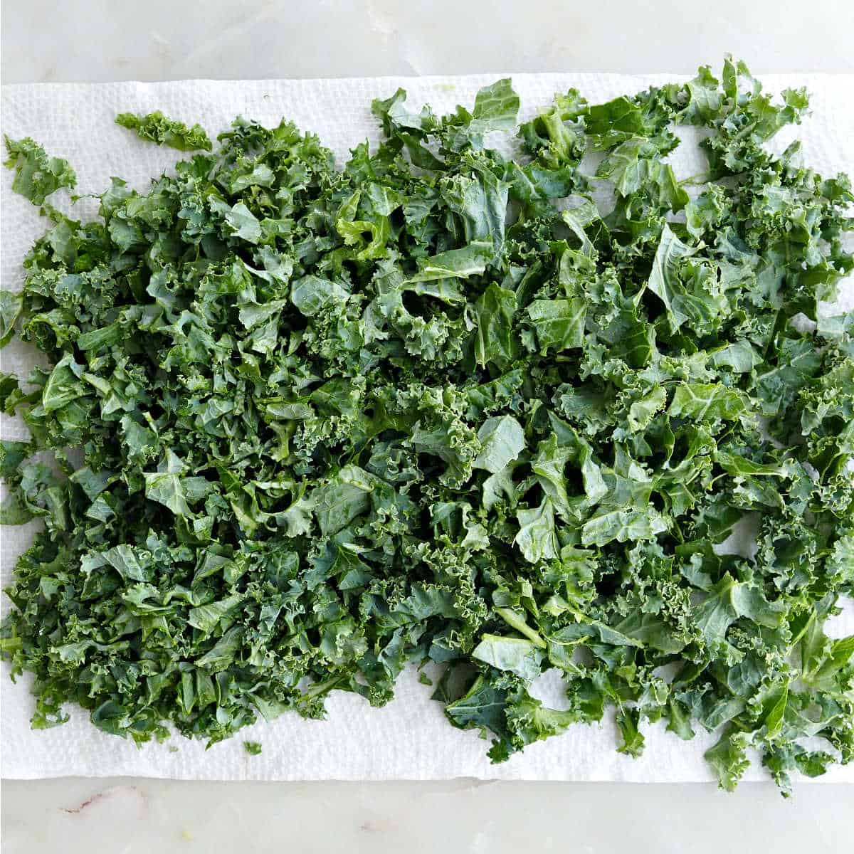 washed kale leaves drying on paper towels on a counter