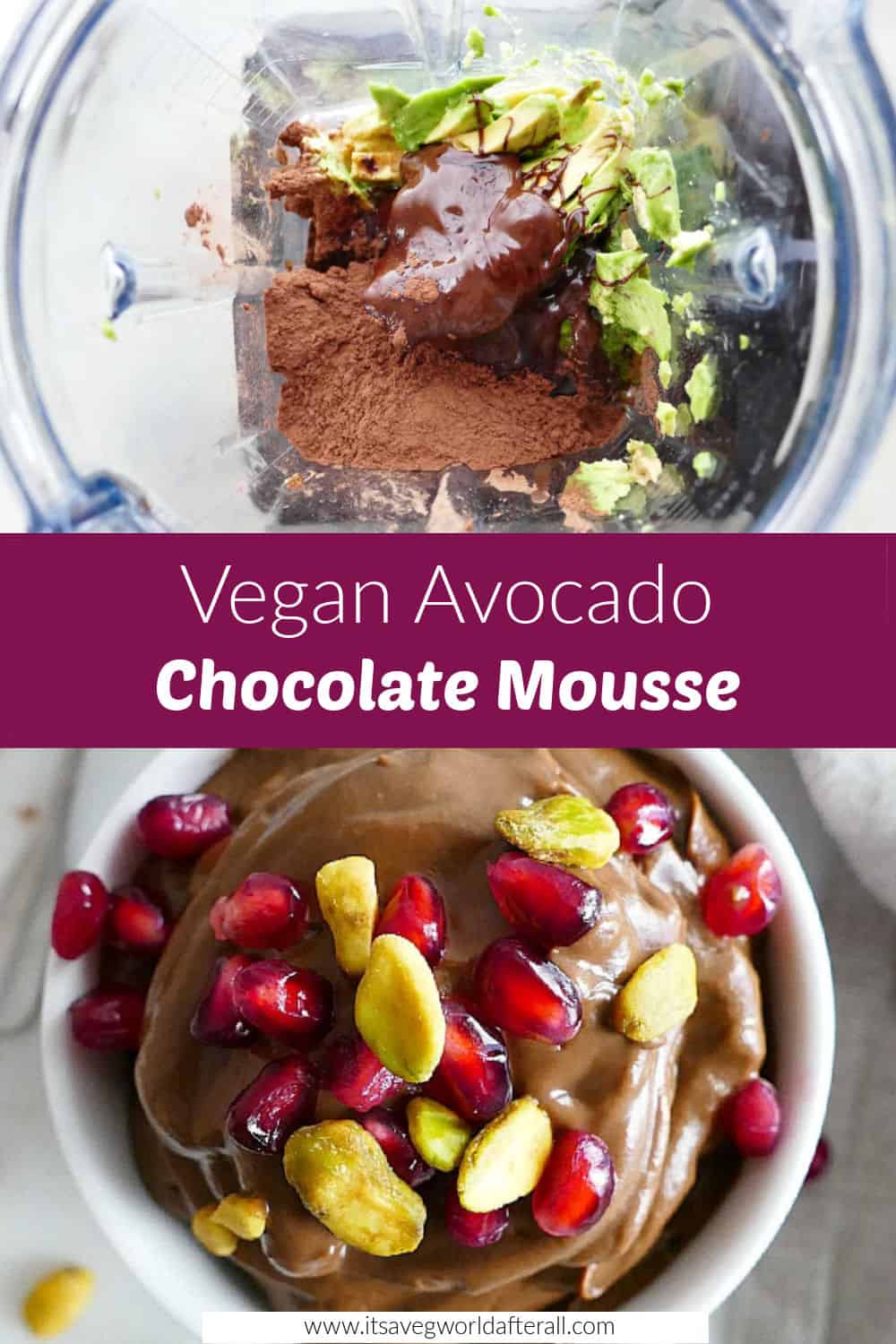 Vegan Avocado Chocolate Mousse Recipe It's a Veg World After All®