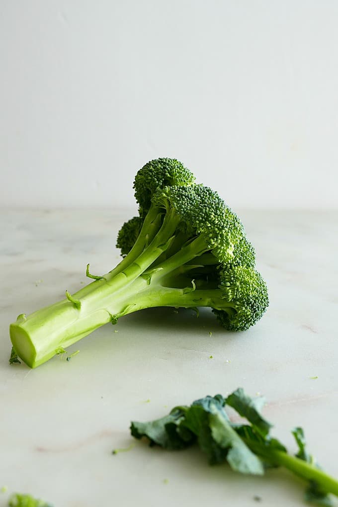 a single head of broccoli on a white counter with a white background