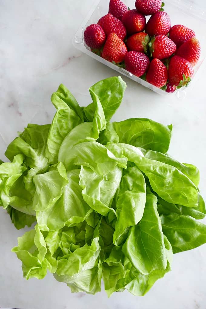 head of butter lettuce next to a carton of fresh strawberries on a counter