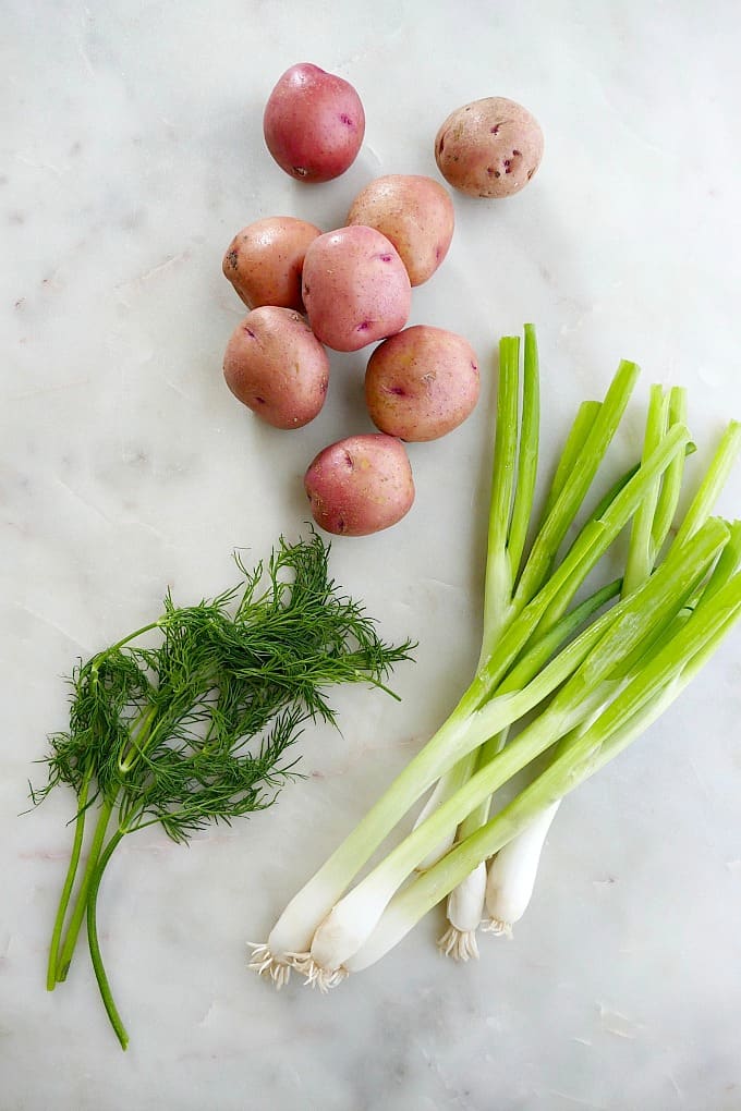 dill, red potatoes, and scallions next to each other on a white counter