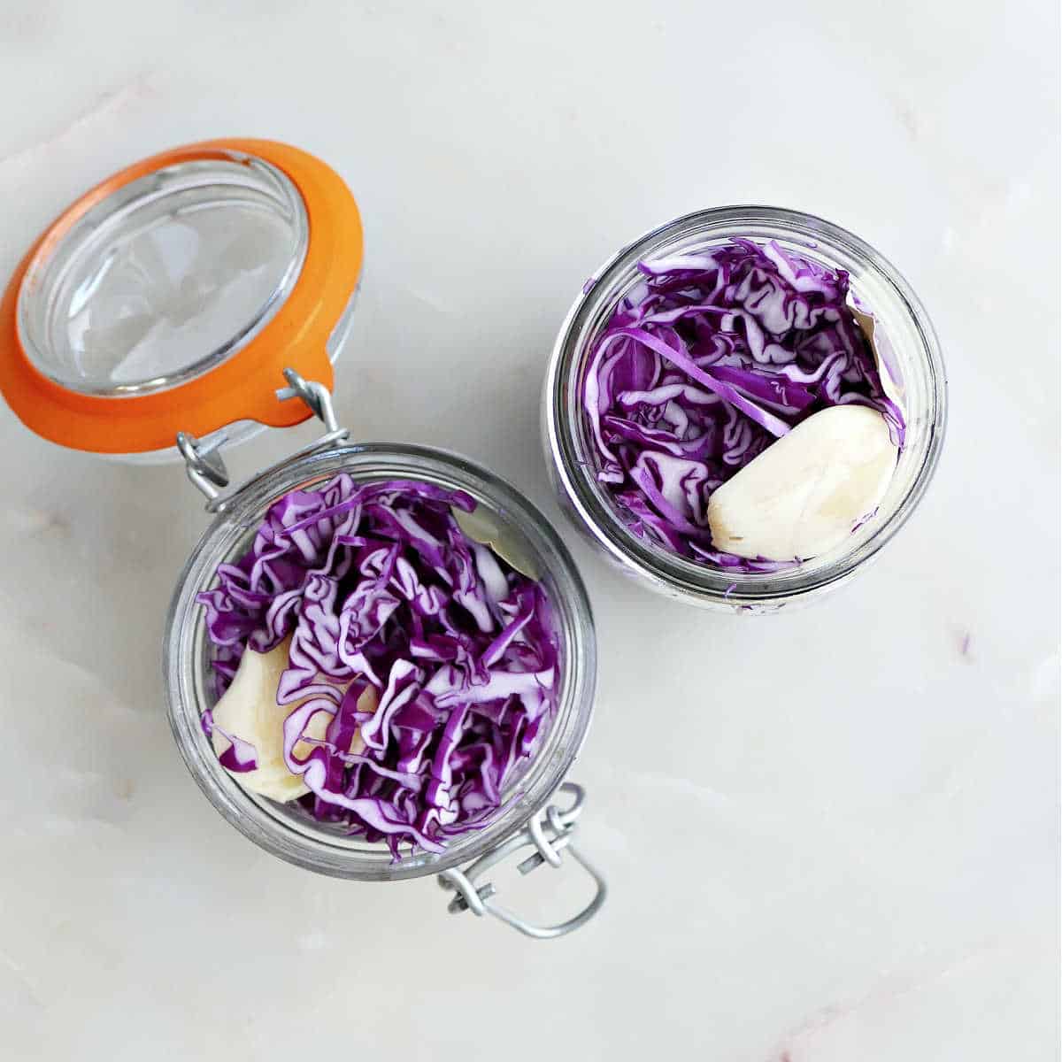 Two glass jars stuffed with red cabbage and garlic before adding brine.