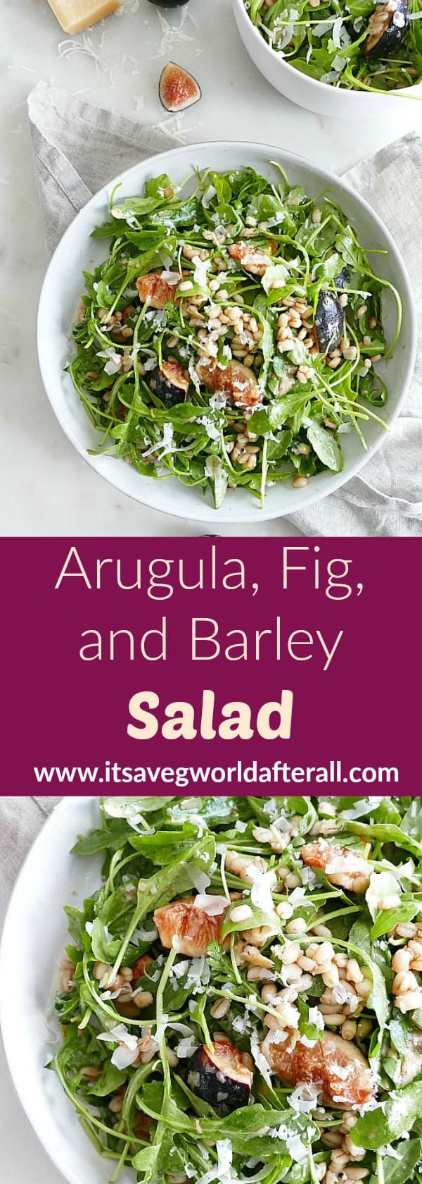 Fig and Barley Arugula Salad - It's a Veg World After All®