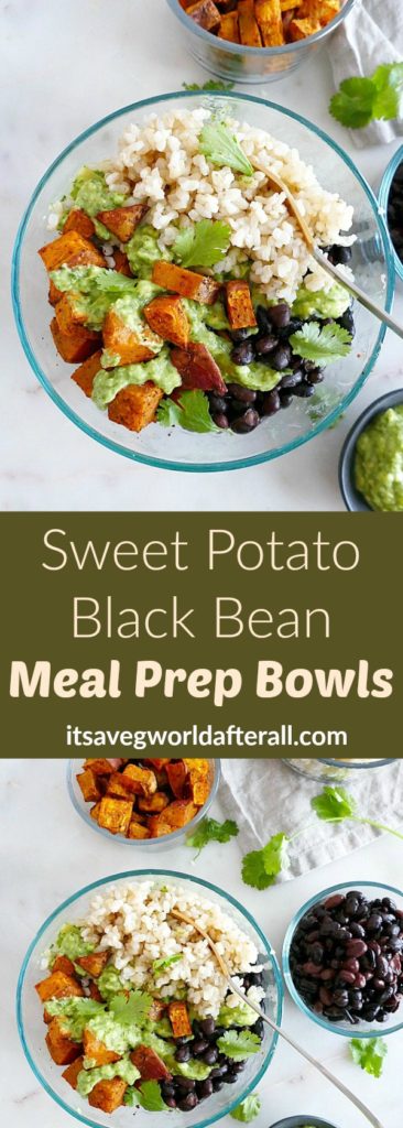 Sweet Potato Black Bean Meal Prep Bowls - It's a Veg World After All®