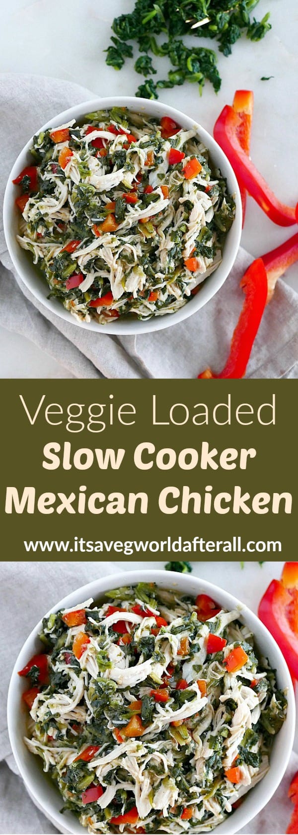Veggie Slow Cooker Mexican Chicken - It's a Veg World After All