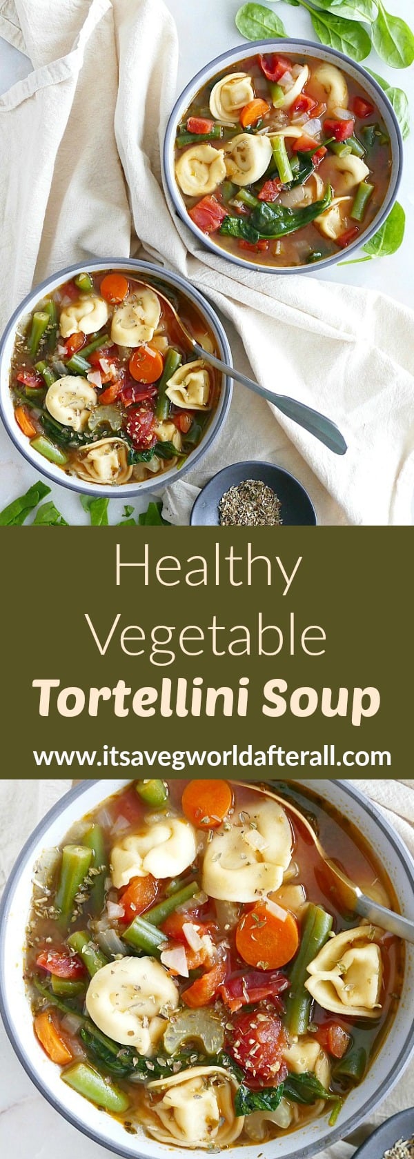 Healthy Vegetable Tortellini Soup It's a Veg World After All®