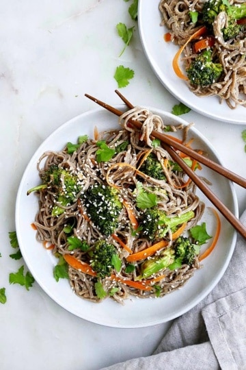 Peanut Soba Noodles with Roasted Broccoli - It's a Veg World After All®