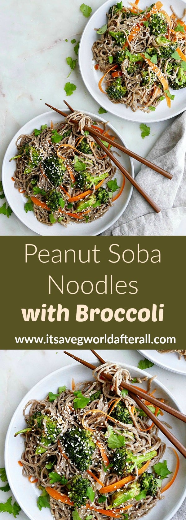 Peanut Soba Noodles with Roasted Broccoli It's a Veg World After All®