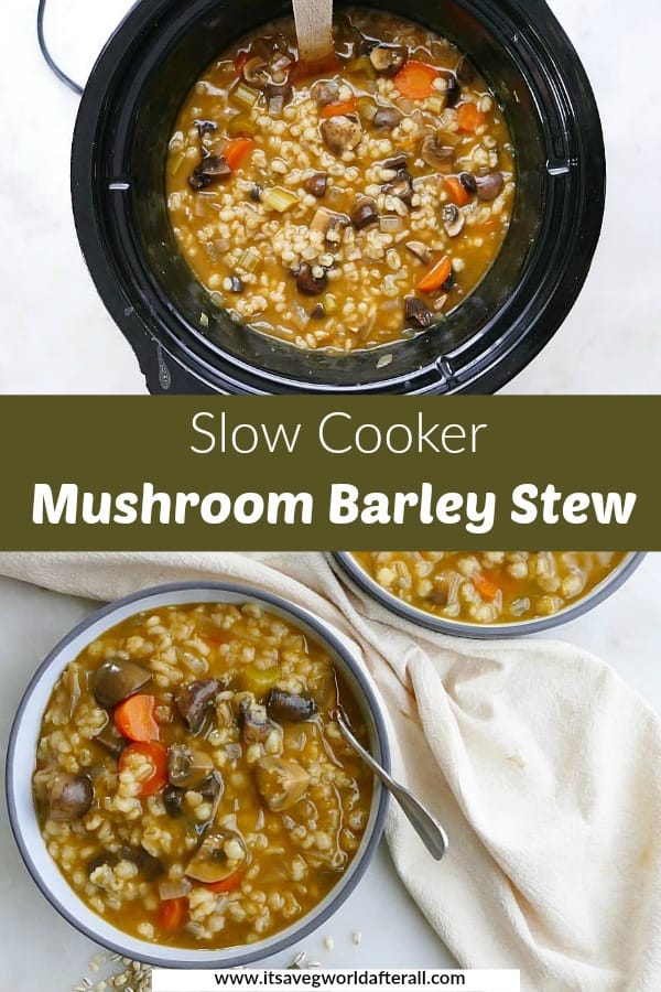 Slow Cooker Mushroom Barley Stew - It's a Veg World After All®