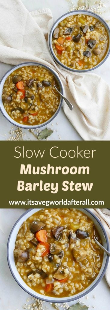 Mushroom Barley Stew pin