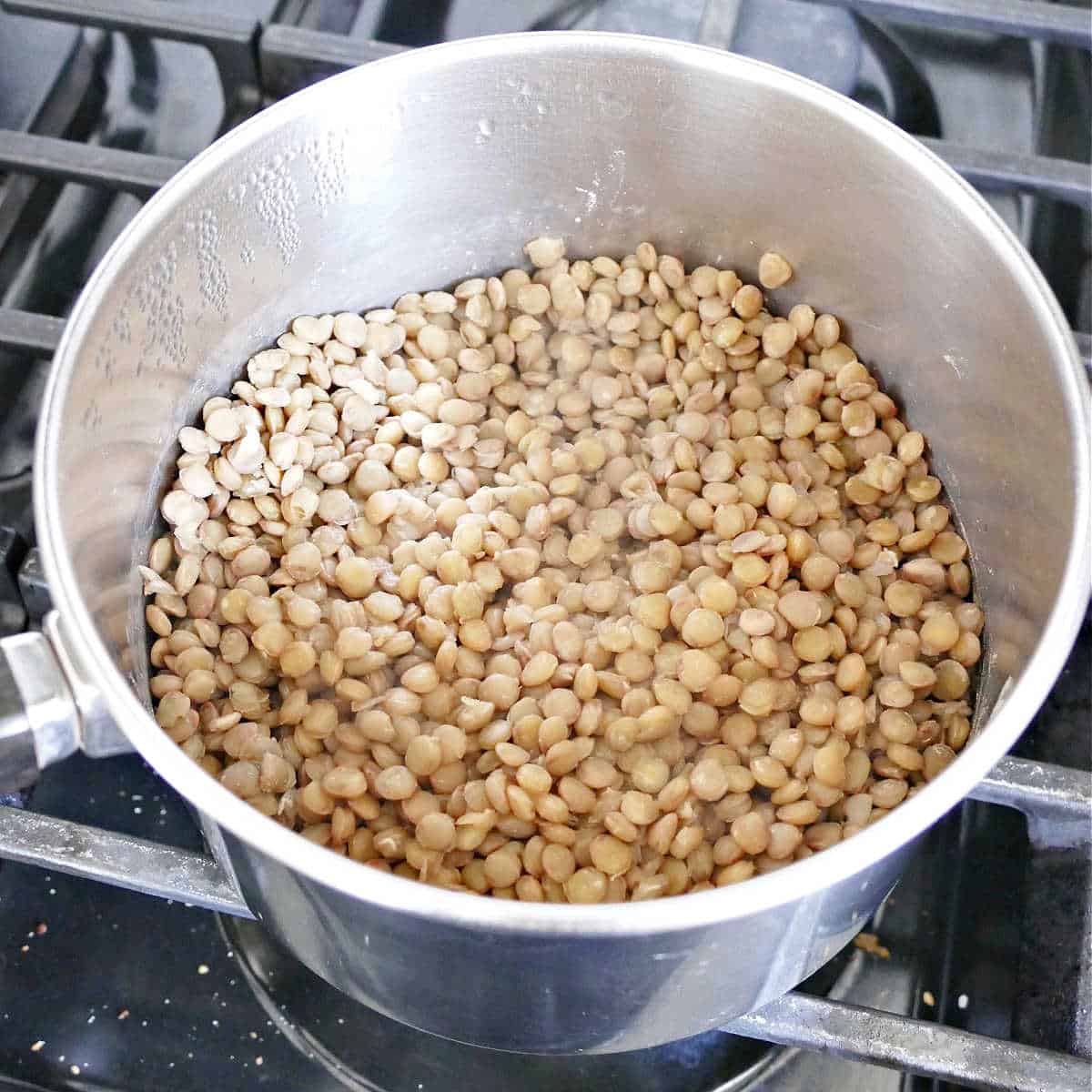 brown lentils cooking in a saucepan over a stove