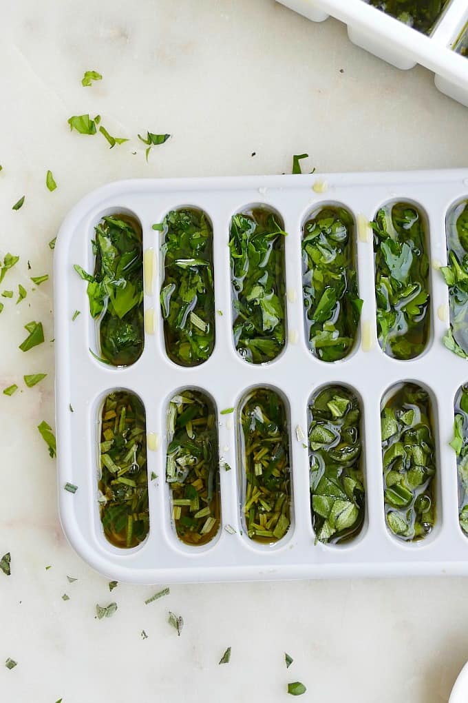 herbs in olive oil in an ice cube tray