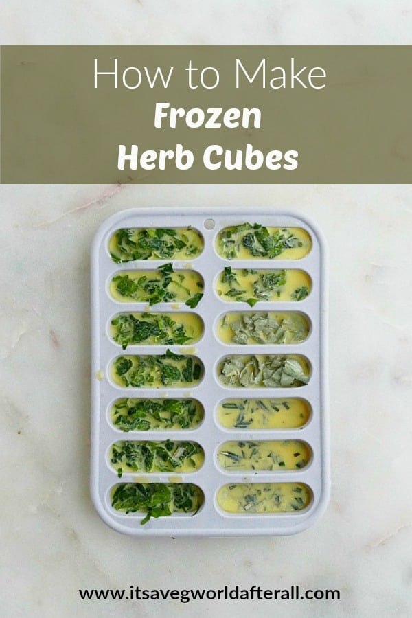 How to Make Frozen Herb Cubes - It's a Veg World After All®