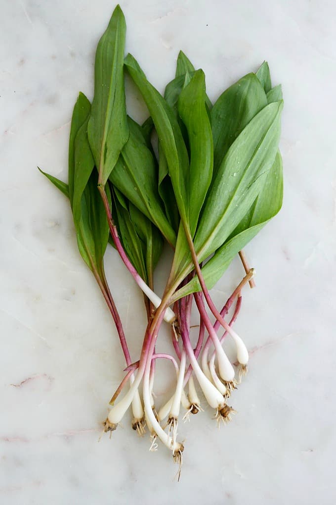 one bunch of ramps spread out on a counter
