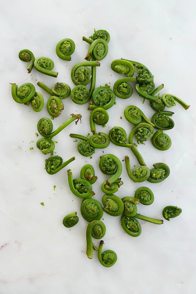 fiddlehead ferns spread out next to each other on a counter