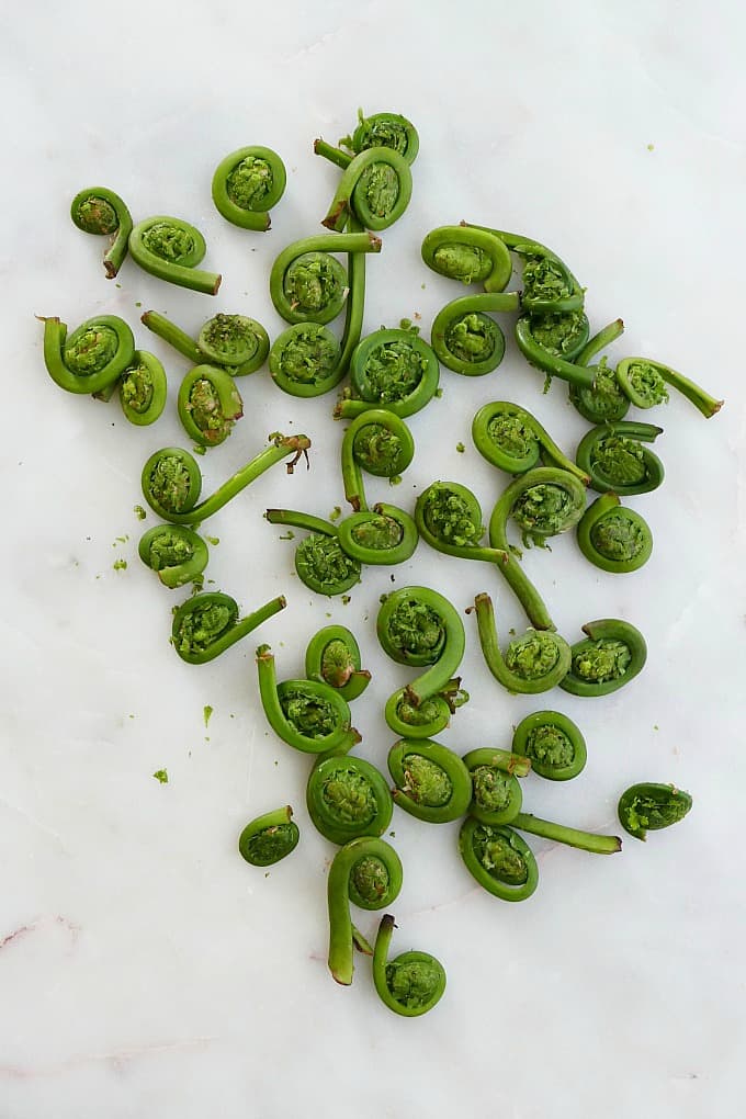 fiddlehead ferns