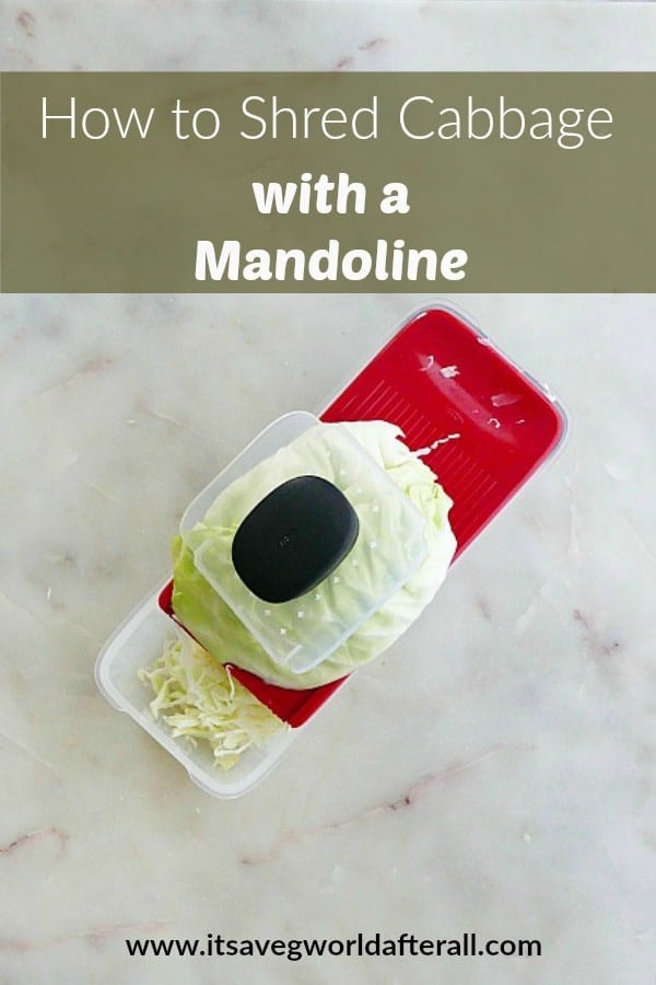 Mandoline Cabbage & Vegetable Slicer