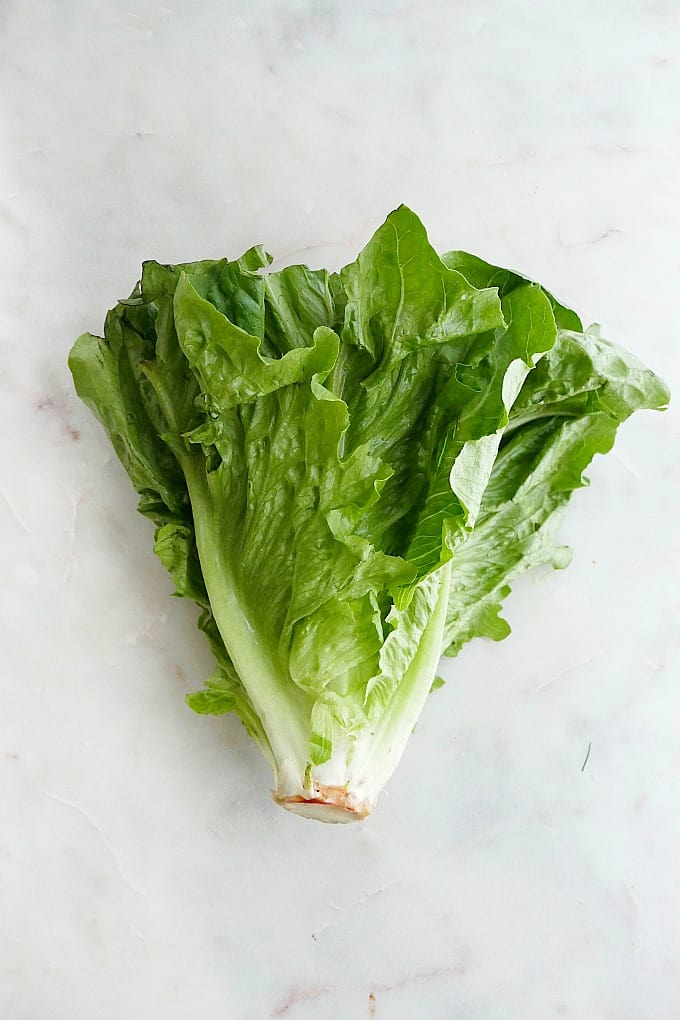 a head of romaine lettuce on a marble counter