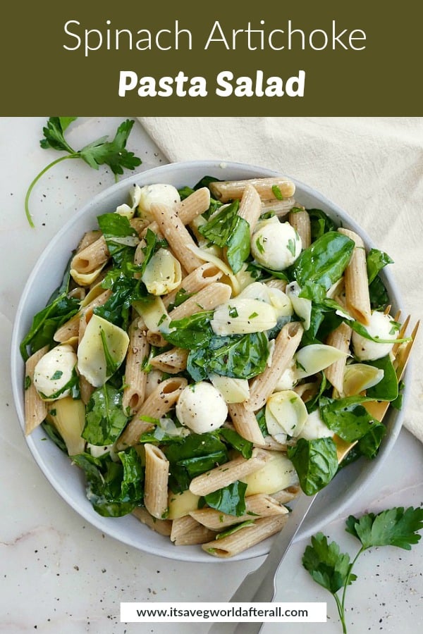 image of pasta salad on a dish with a green text box on top