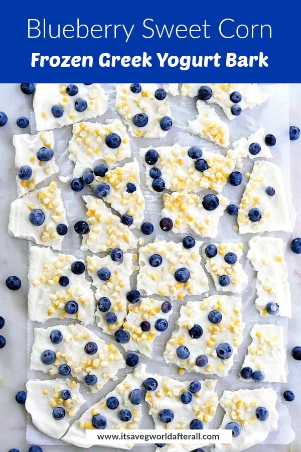 image of frozen yogurt bark with a blue text box on top with recipe title