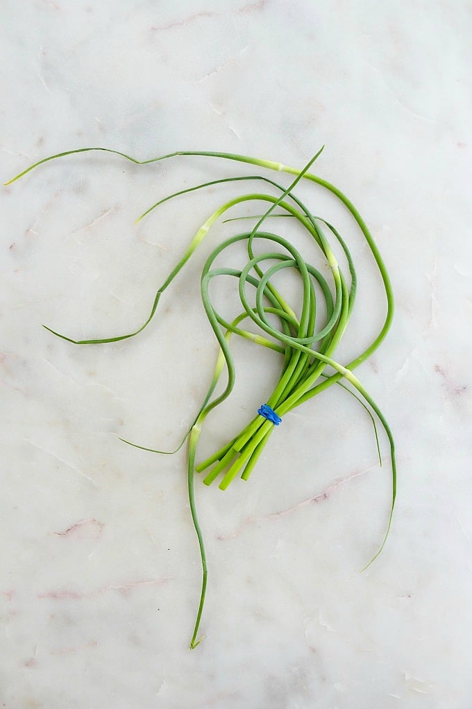 a bunch of garlic scapes tied together with a rubber band on a white counter