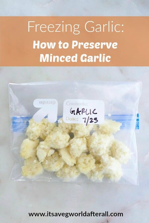 freezing garlic pin