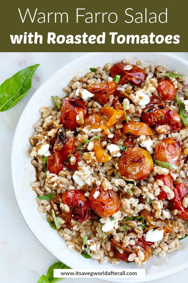 image of farro and tomato salad with a green text box on top
