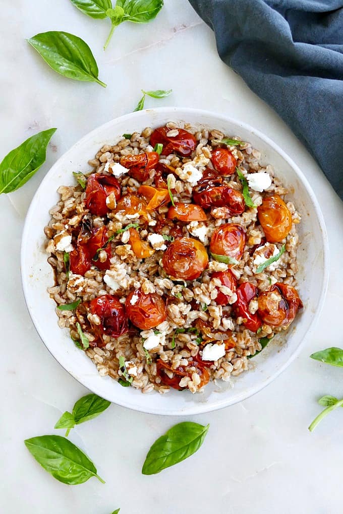 farro, tomato, and goat cheese salad garnished with basil on a plate on a counter