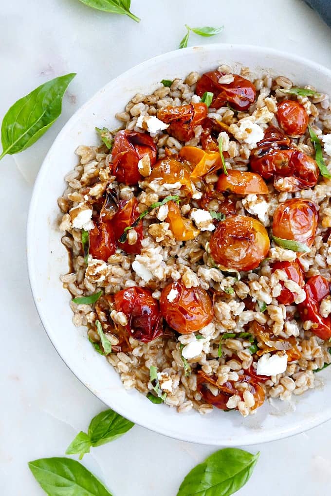 warm farro salad with roasted tomatoes on a plate garnished with basil