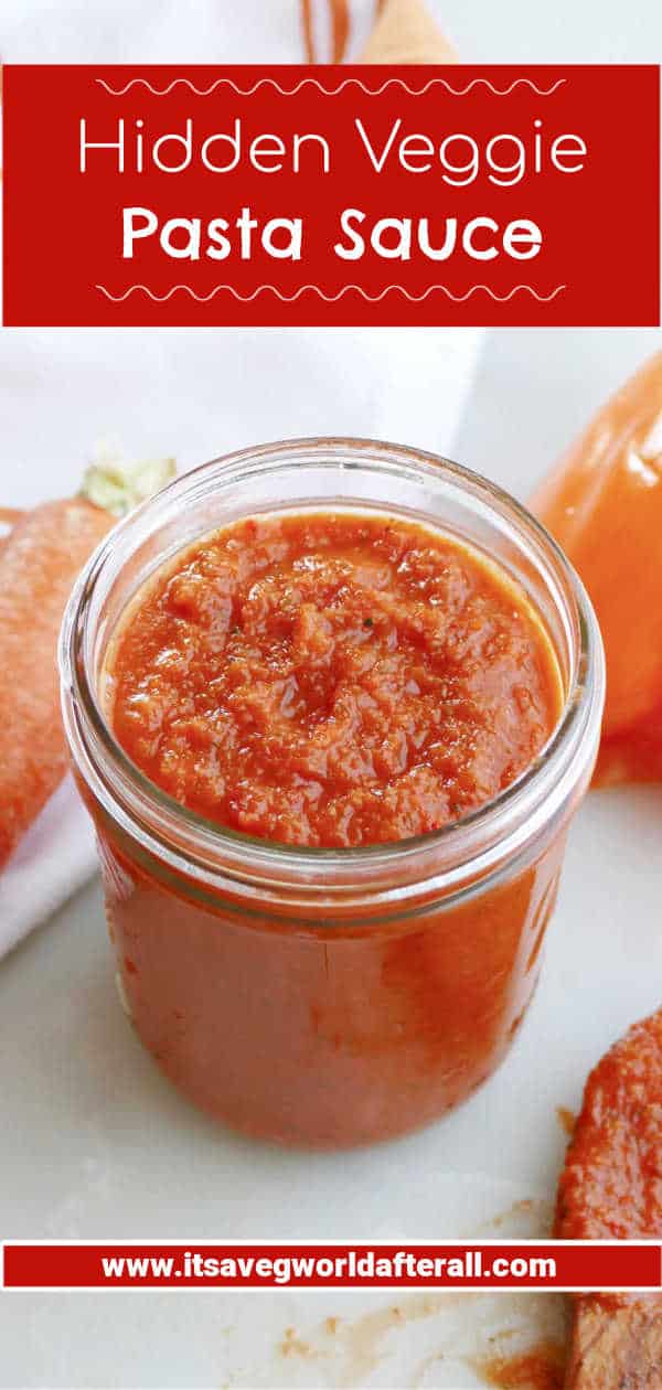 Hidden Veggie Pasta Sauce It's a Veg World After All®