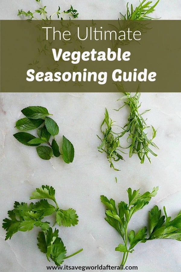 The Ultimate Vegetable Seasoning Guide - It's a Veg World After All®