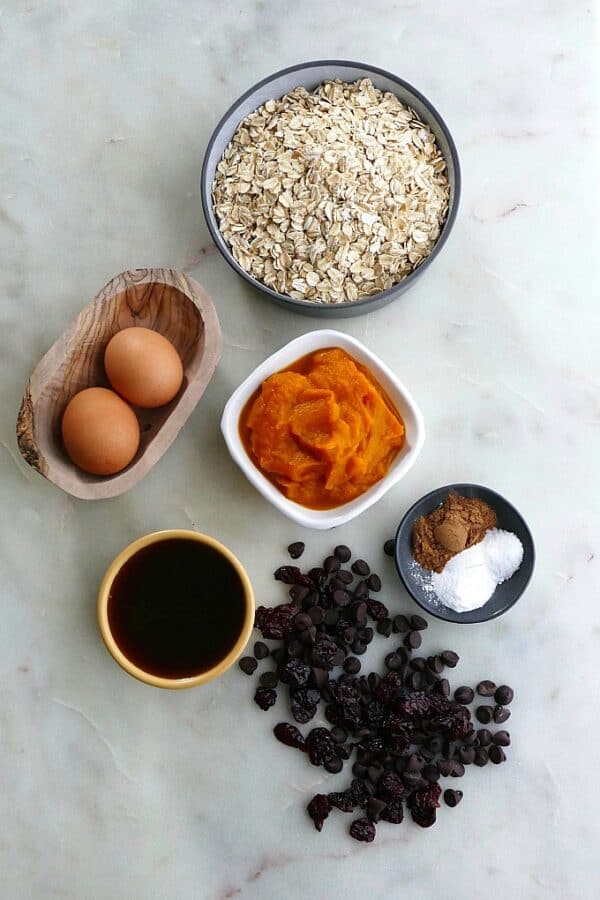 Chocolate Cherry Pumpkin Oatmeal Bars - It's a Veg World After All®