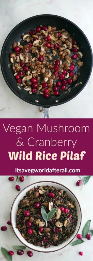 Vegan Mushroom and Cranberry Wild Rice Pilaf - It's a Veg World After All®