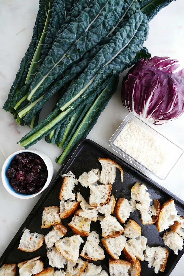 kale, radicchio, parmesan cheese, dried cherries, and sourdough cubes on a counter