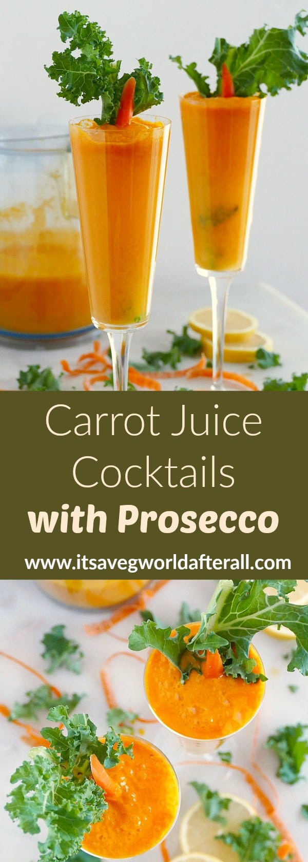 Prosecco and Carrot Juice Cocktails It's a Veg World After All®