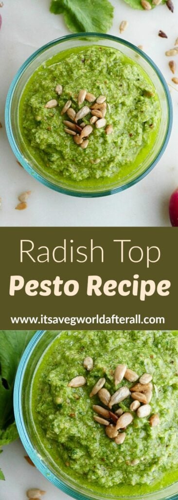 two photos of radish top pesto with a green text box in between