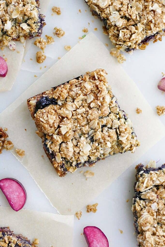 Blueberry Rhubarb Bars - It's a Veg World After All®