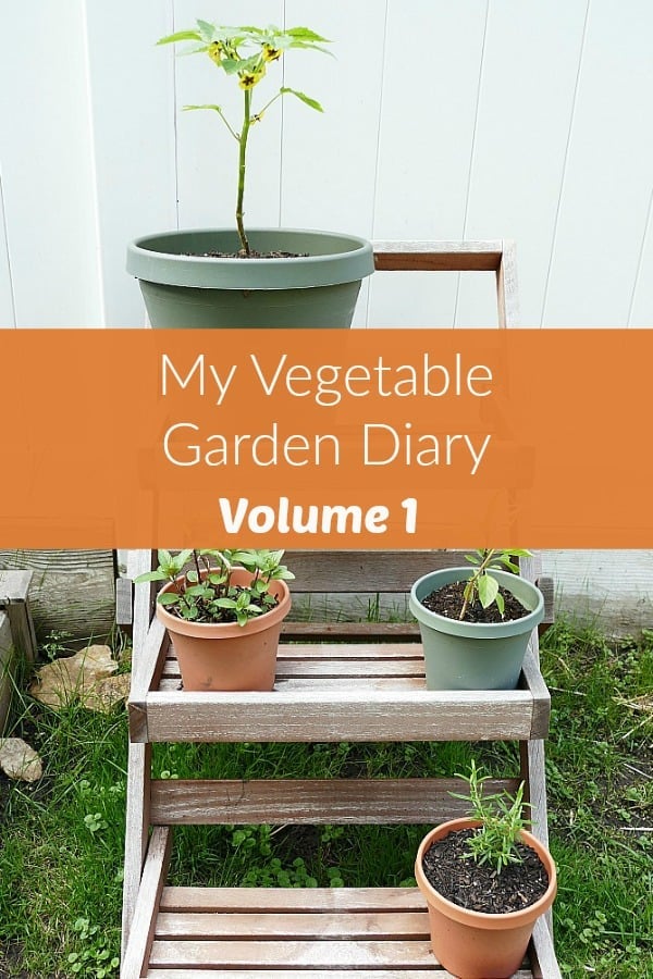 https://itsavegworldafterall.com/wp-content/uploads/2020/05/Vegetable-Garden-Diary-Volume-1.jpg