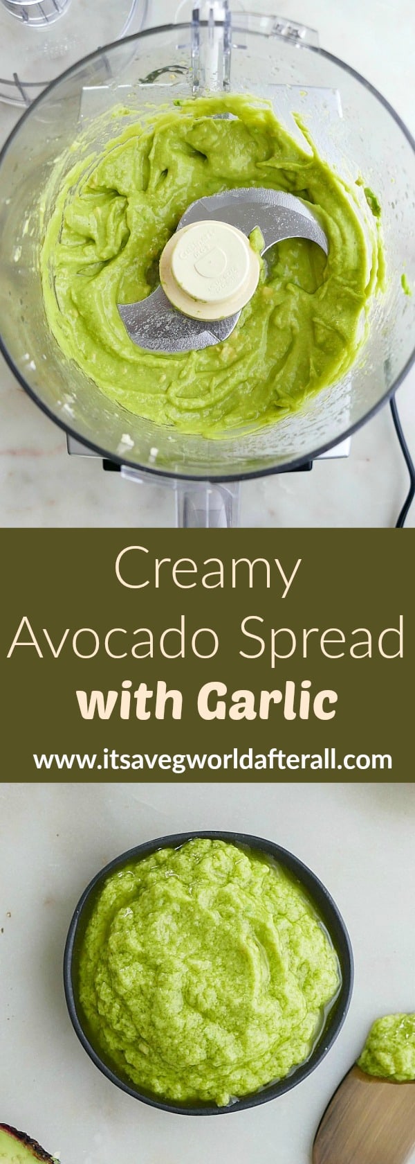 The Best Avocado Spread with Garlic It's a Veg World After All®