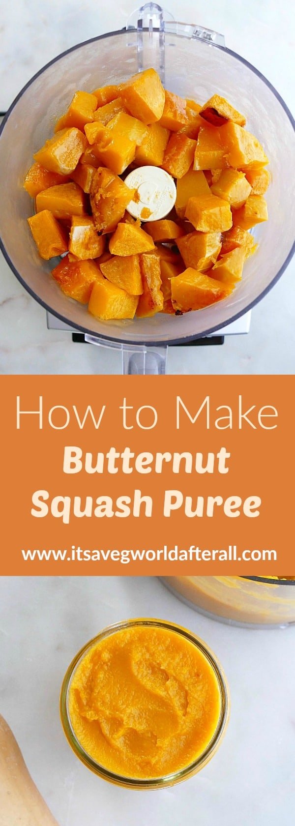 How to Make Butternut Squash Puree It's a Veg World After All®
