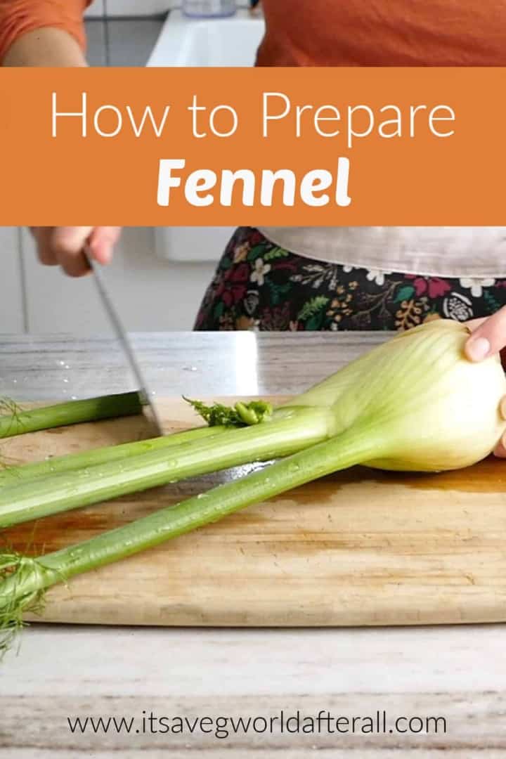 How To Prepare Fennel With Video It S A Veg World After All®