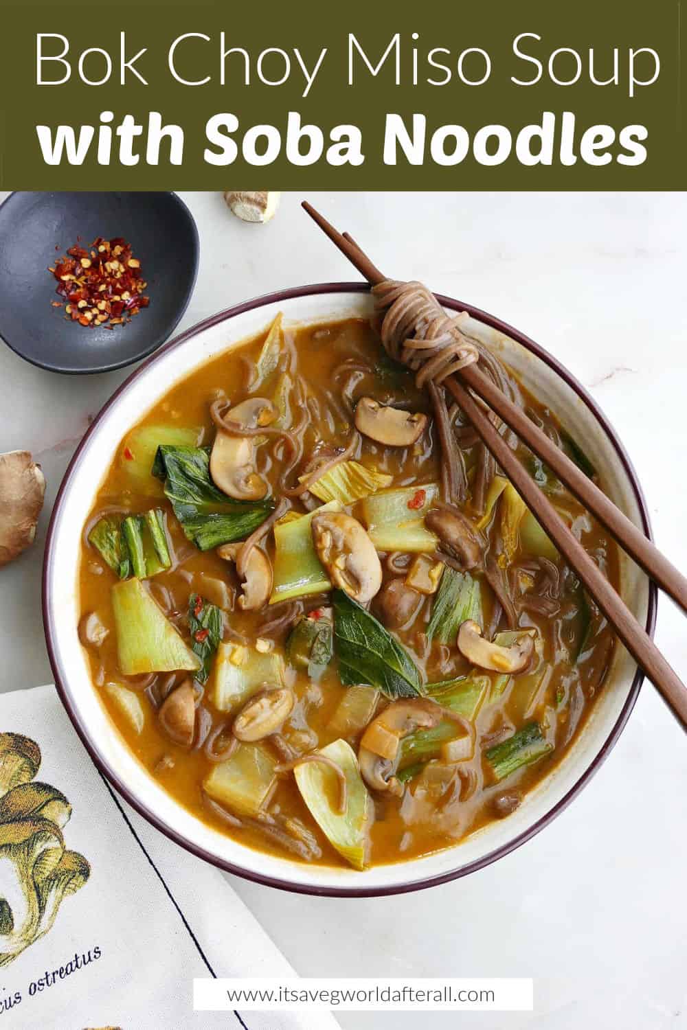 Vegetarian Bok Choy Miso Soup It's a Veg World After All®