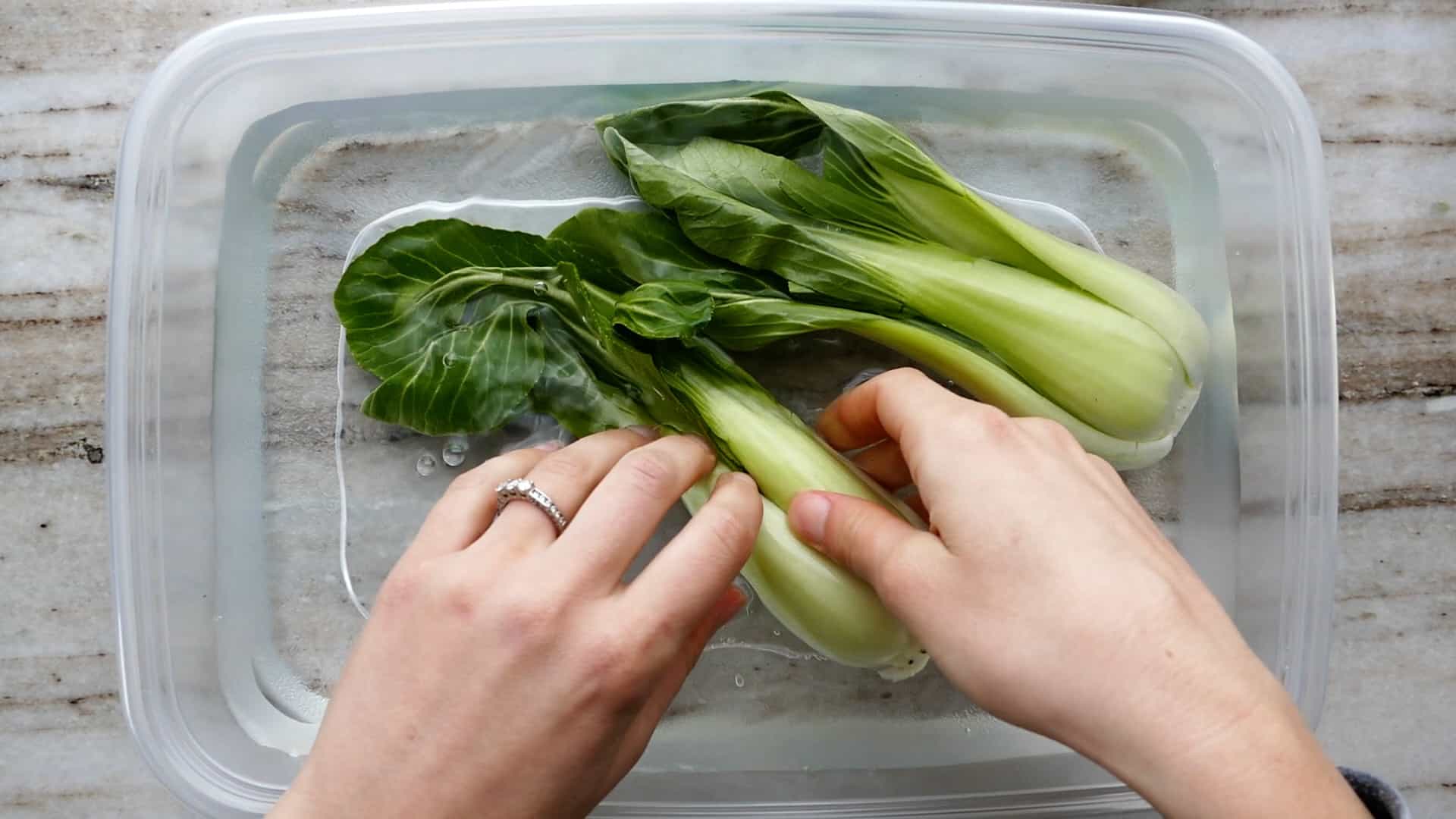 woman washing bok choy in a rectangular container filled with cold water