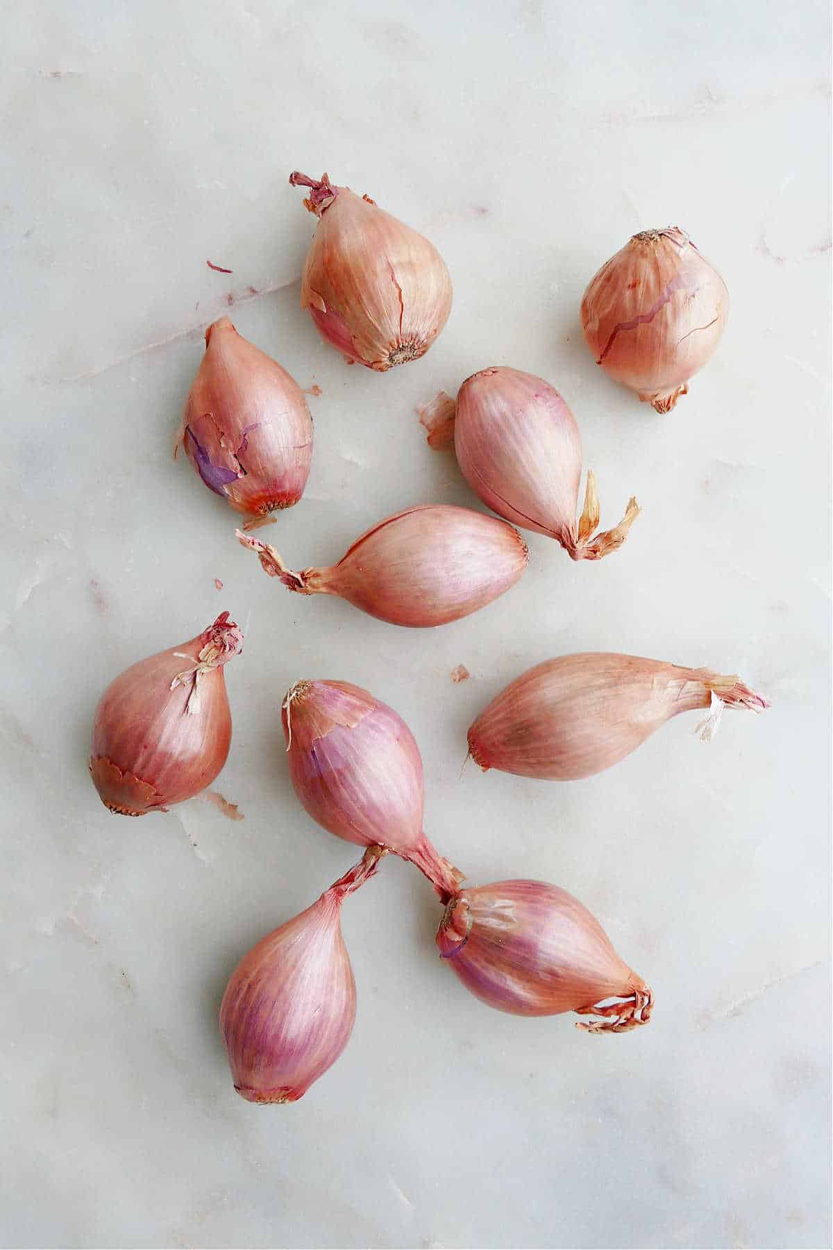 ten shallots spread out next to each other on a white marble counter