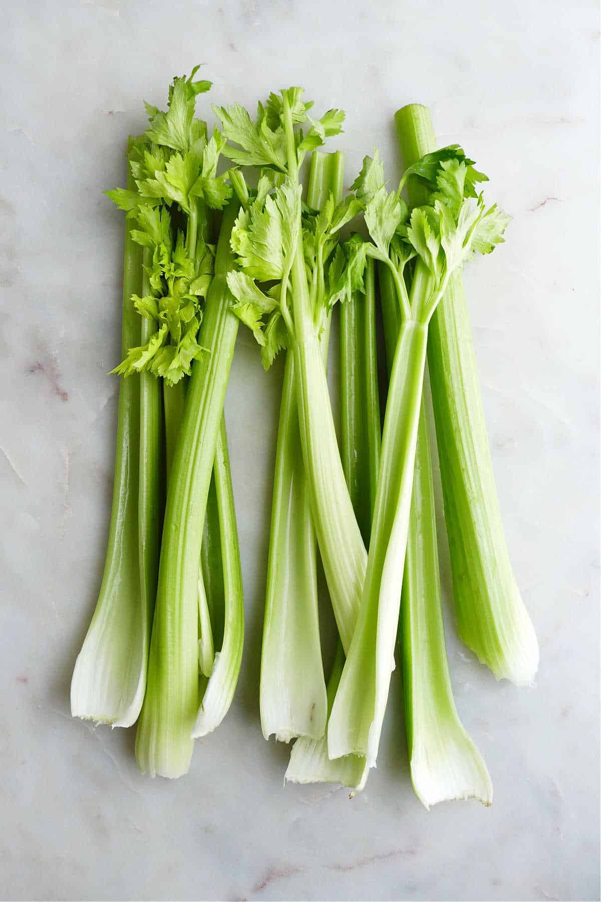 stalks of celery and their leaves spread out next to each other on a counter