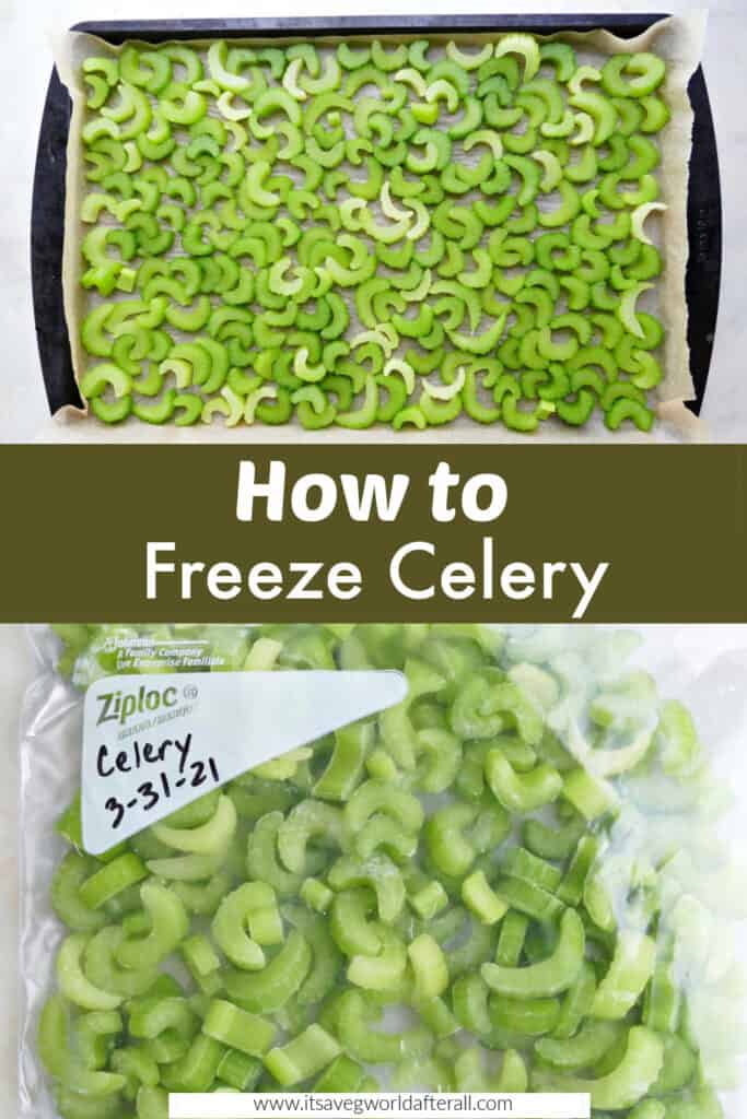 images of frozen celery on a baking sheet and in a bag separated by text box