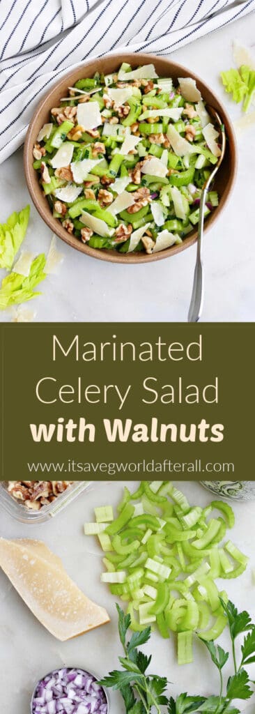 images of celery salad and ingredients separated by text box with recipe title