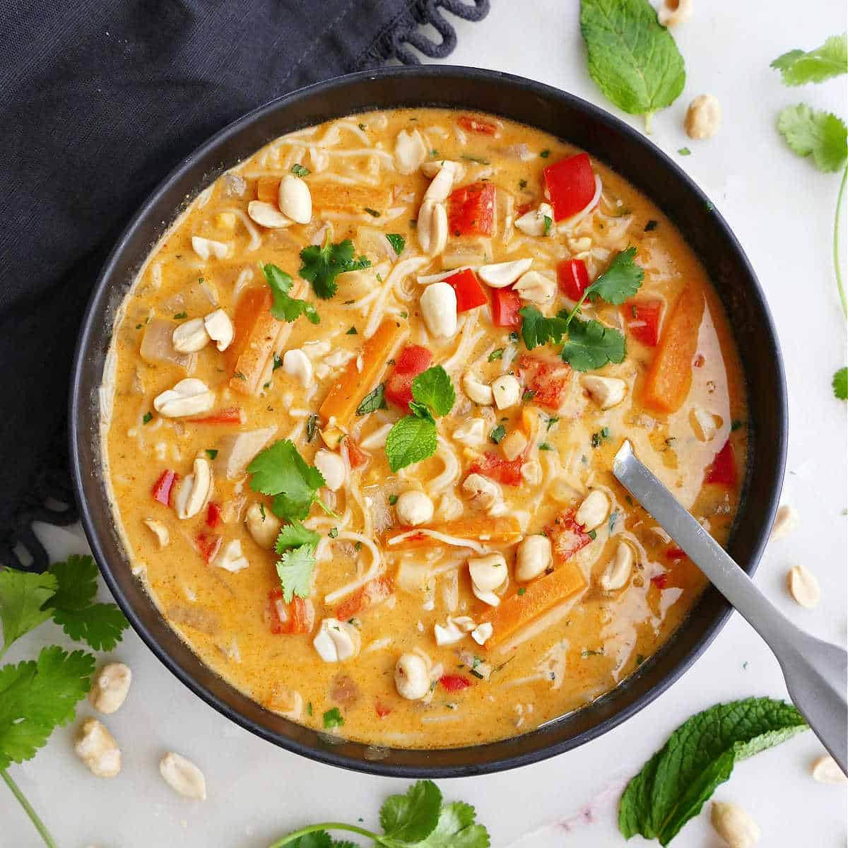 Vegetarian Curry Peanut Vermicelli Soup - It's a Veg World After All®